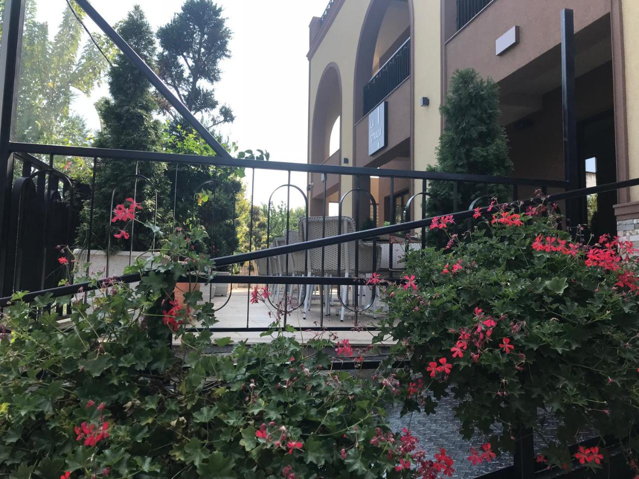 Hotel Edma Alexandria Exterior photo